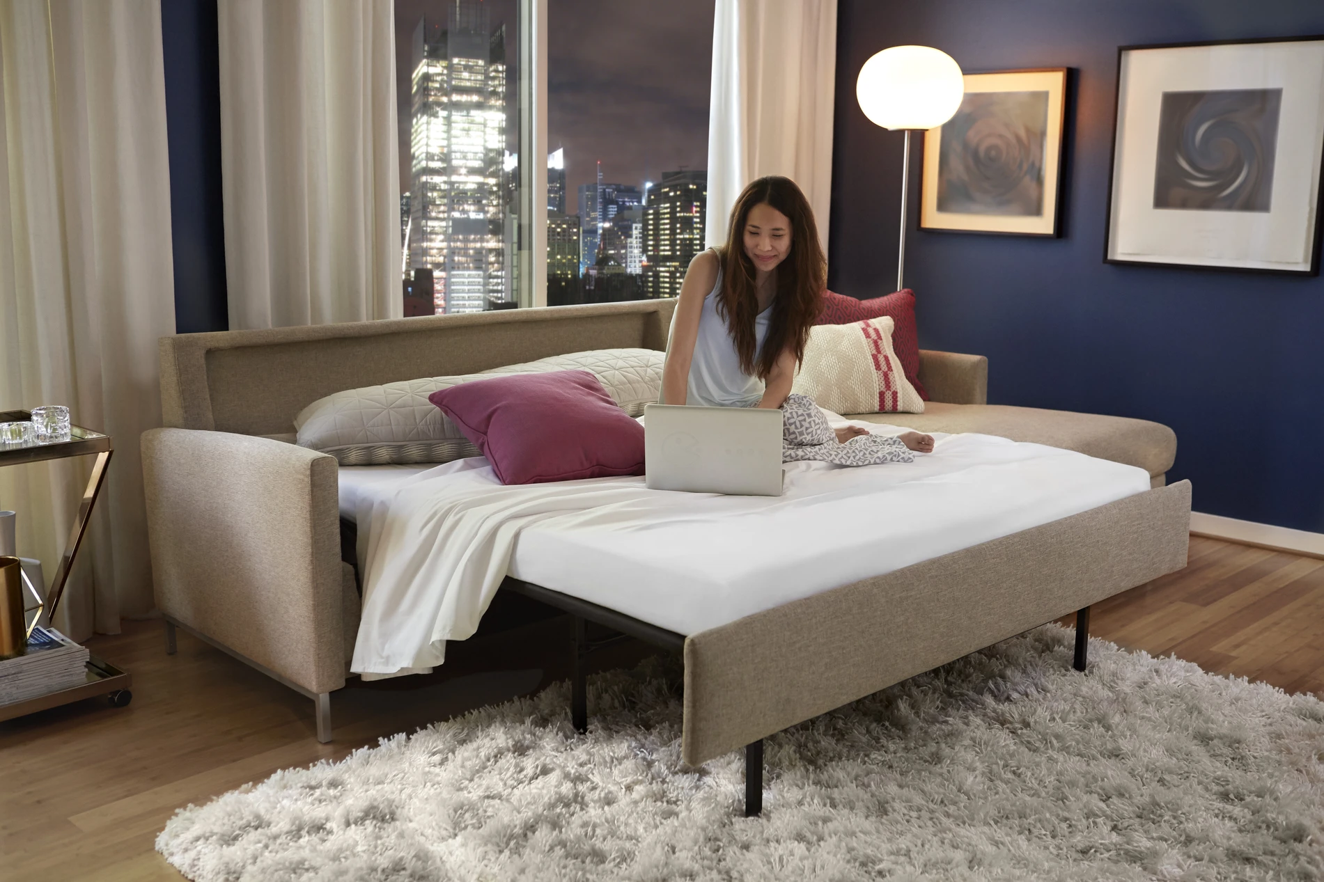 Comfort Sleeper Sale