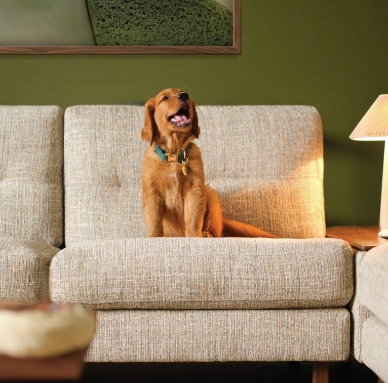 Palliser Spring Sale Background