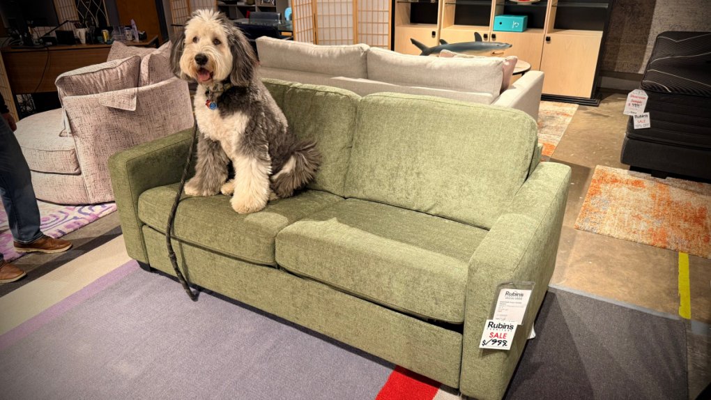 Palliser Kildonan Double Sofabed $1999