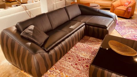  Riese Leather Sectional